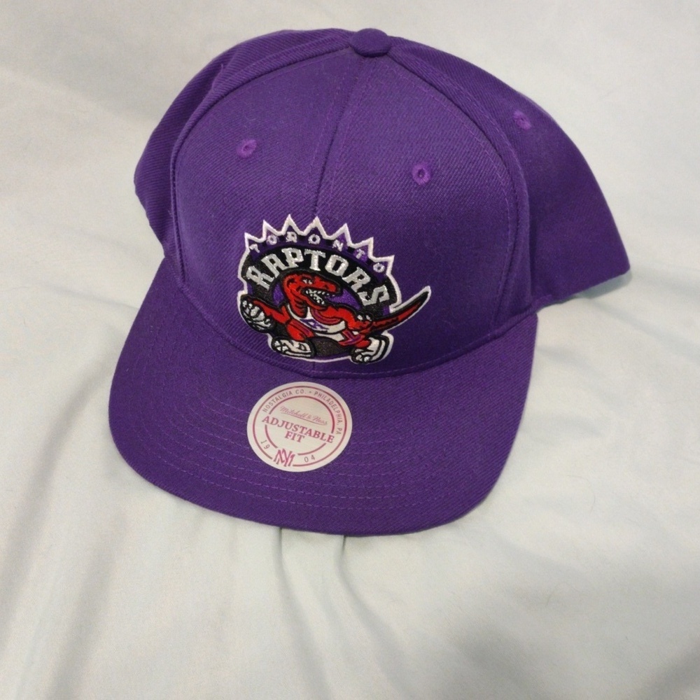Raptors Adjustable cap